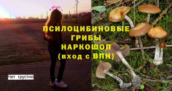 дмт Балахна