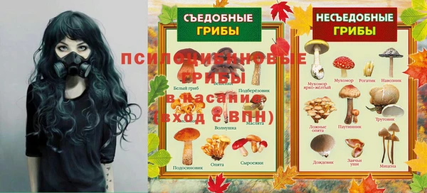 молекула духа Баксан