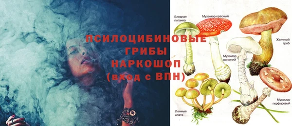 дмт Балахна