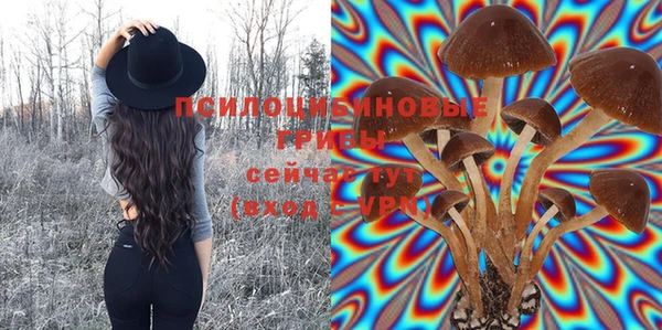 молекула духа Баксан