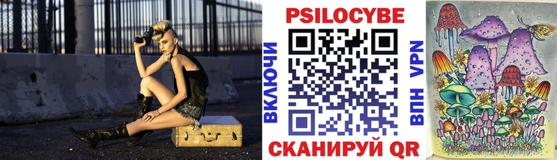 Псилоцибиновые грибы Psilocybe  Новое Девяткино 